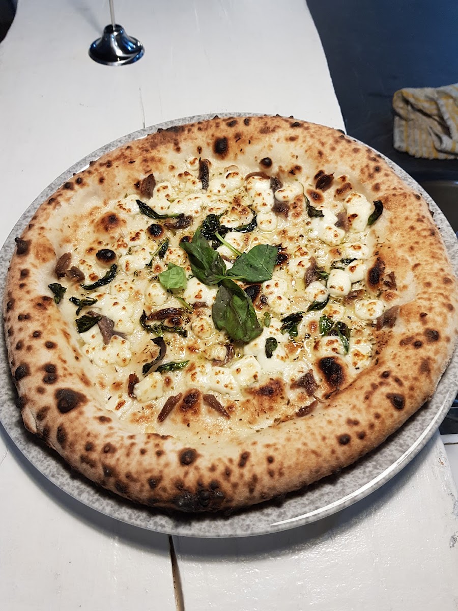 Casa Mia Pizzeria - Trattoria Photos 9