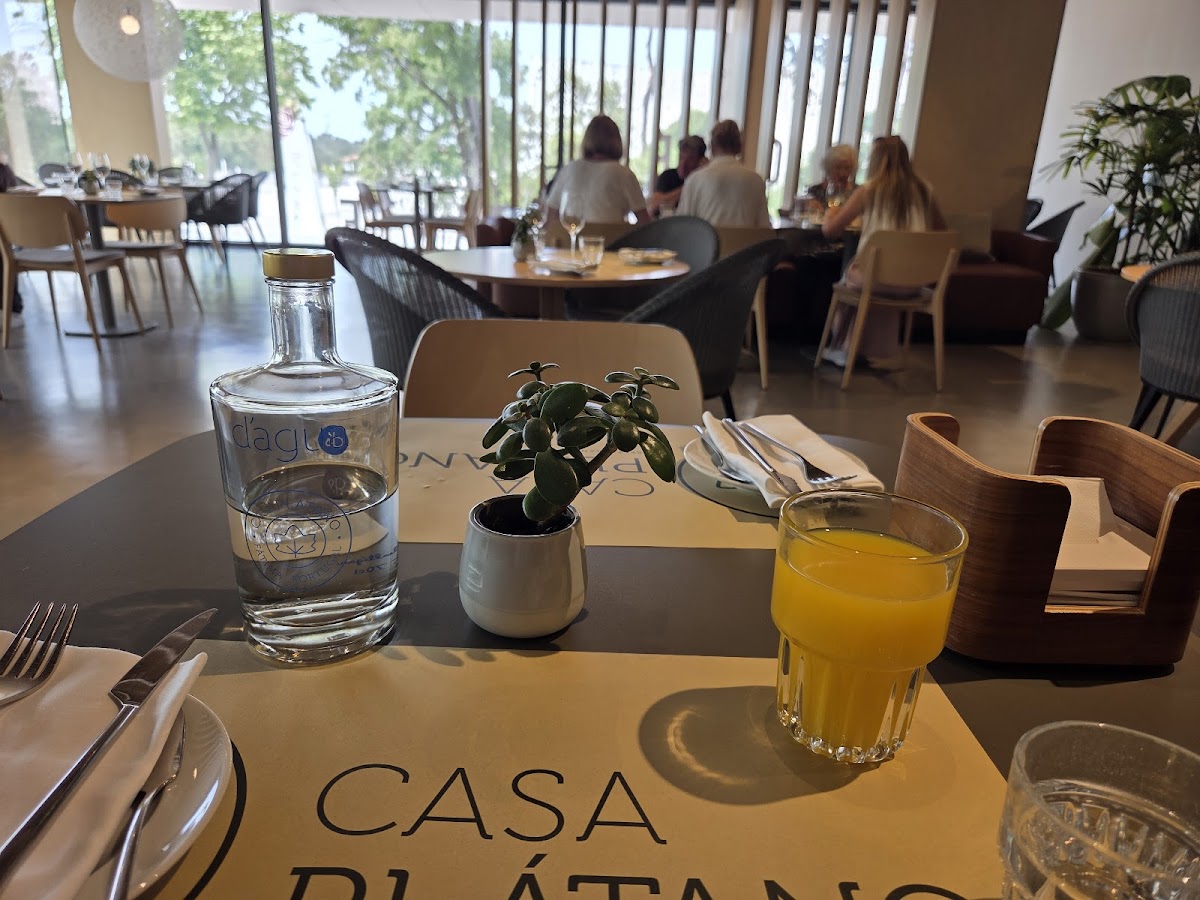 Casa Plátano Restaurante Photos 2