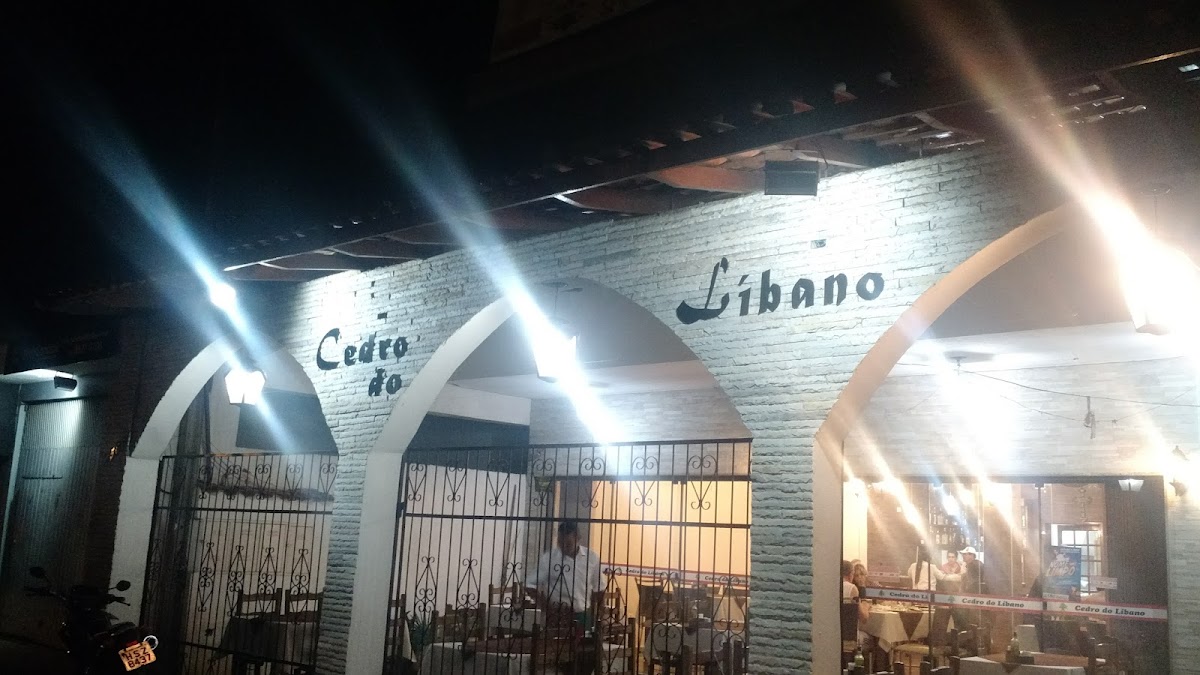 Cedro Do Libano