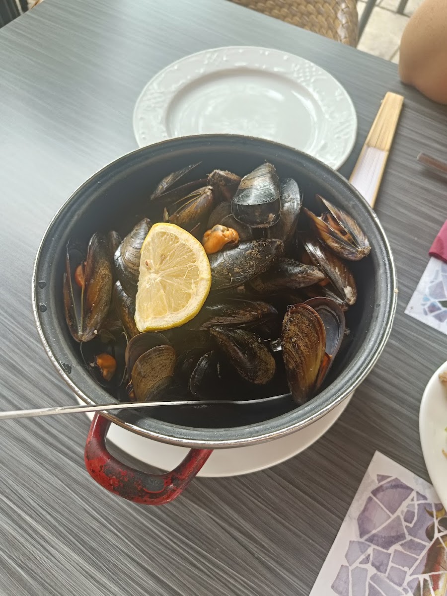 Cervecería Brasería El Galeón Photos 2
