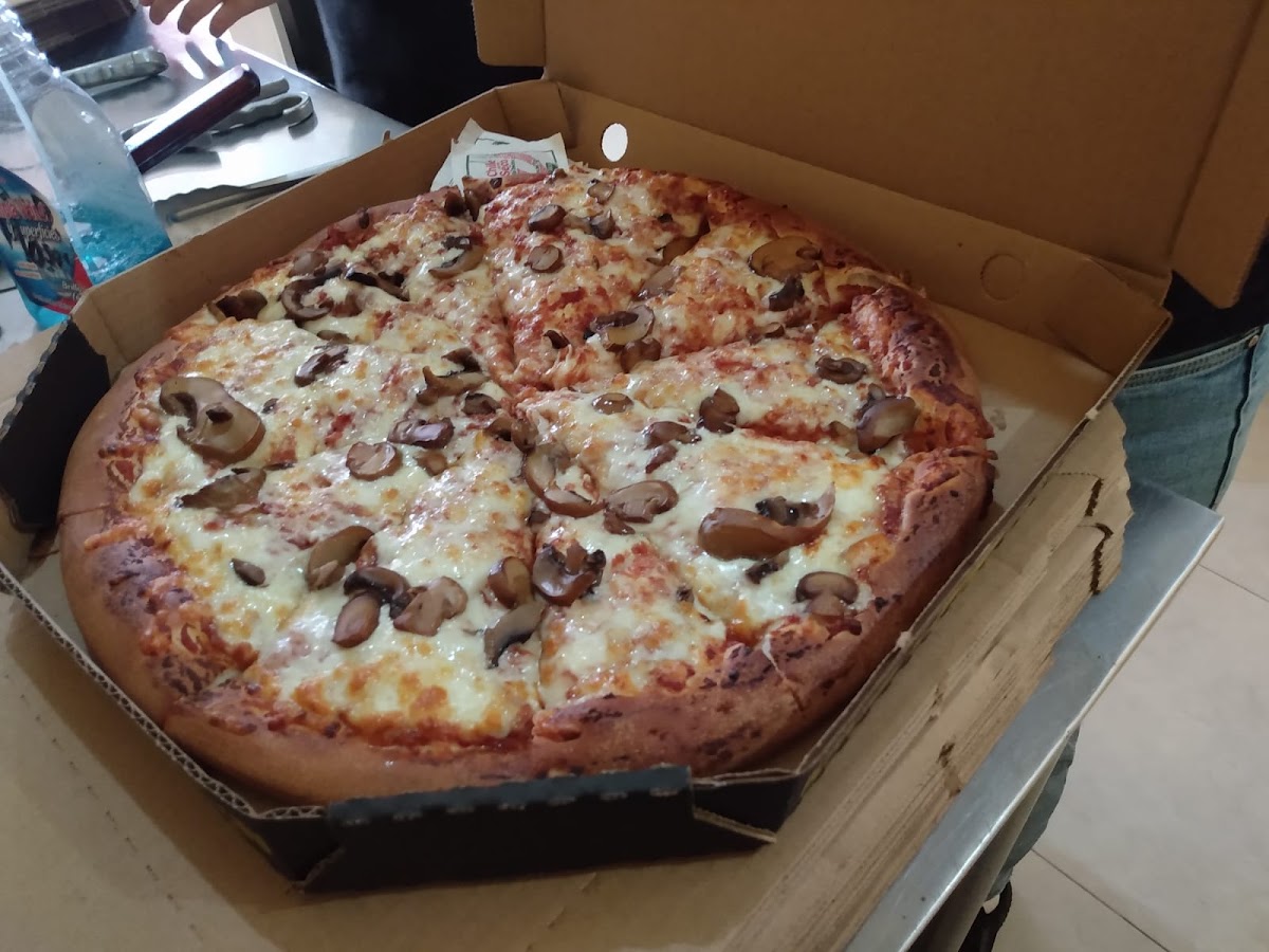 Cheesy Planet Photos 2