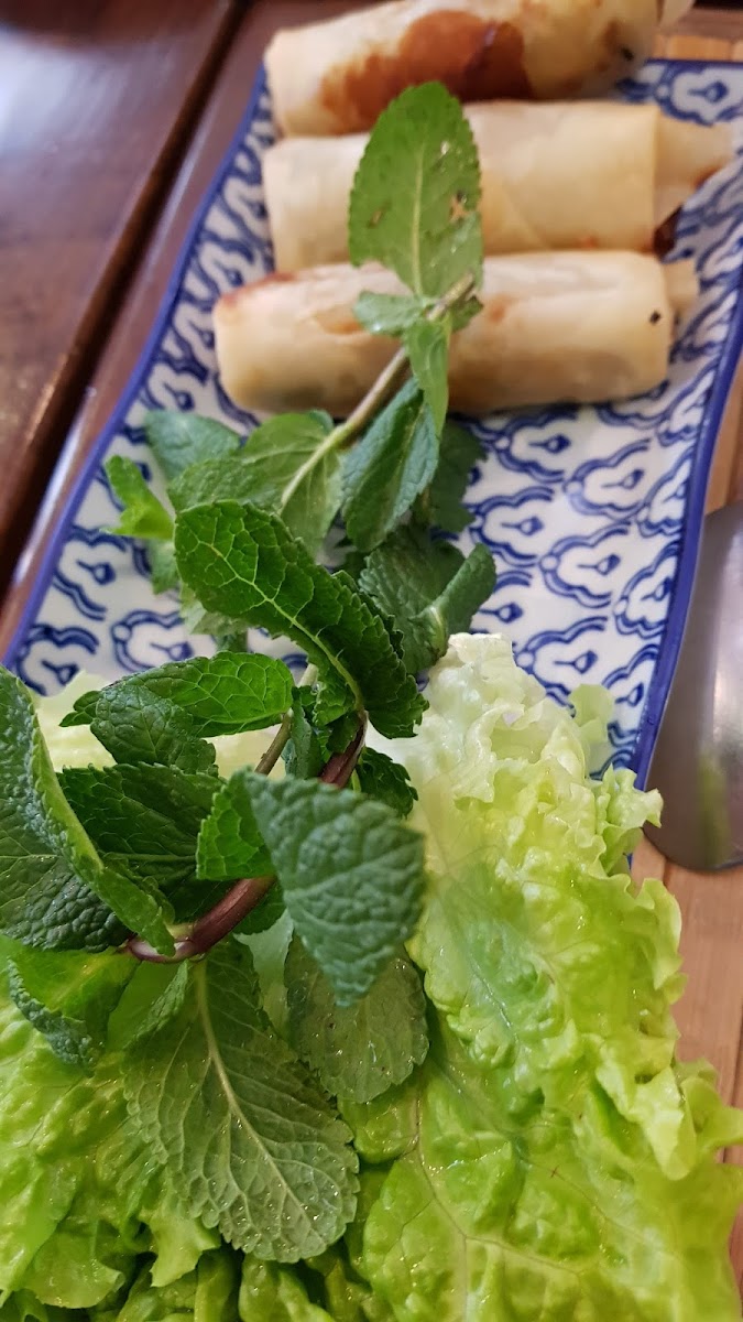 Chiang Rai Mai Photos 9