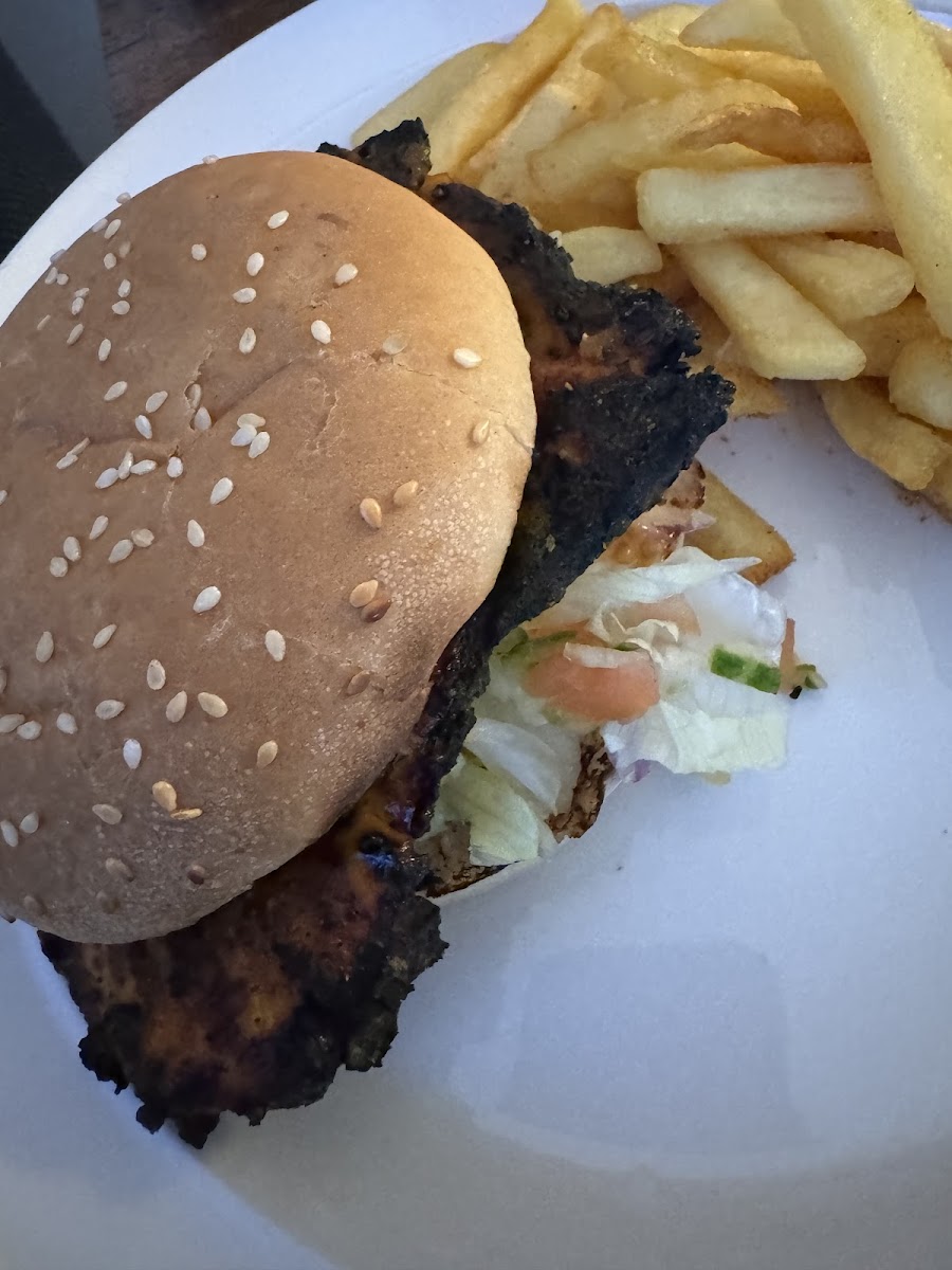 Chicken City Photos 9