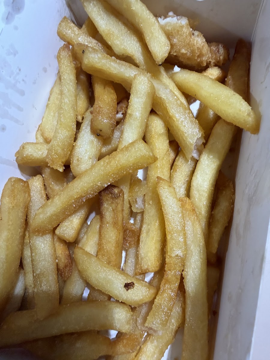 Chish & Fips Photos 2