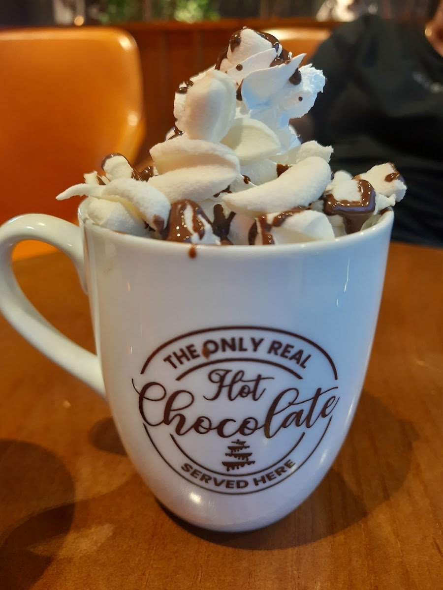 Chocoholics - Mount Lavinia Photos 2