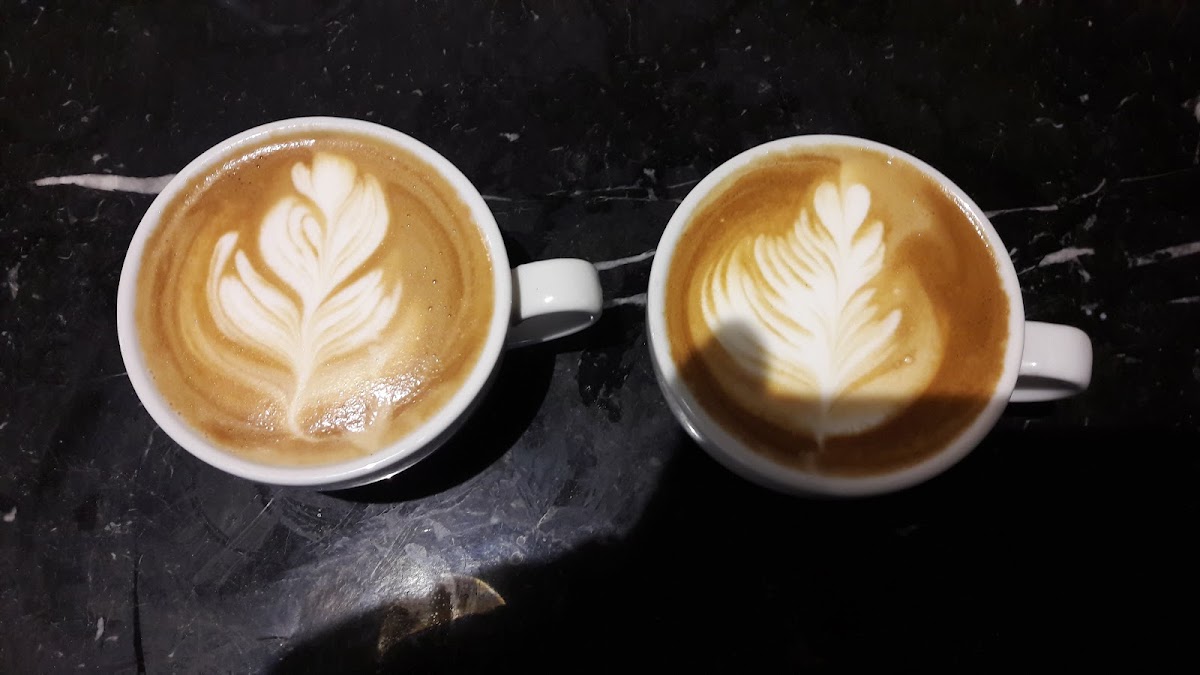 Cogito Coffee Photos 9