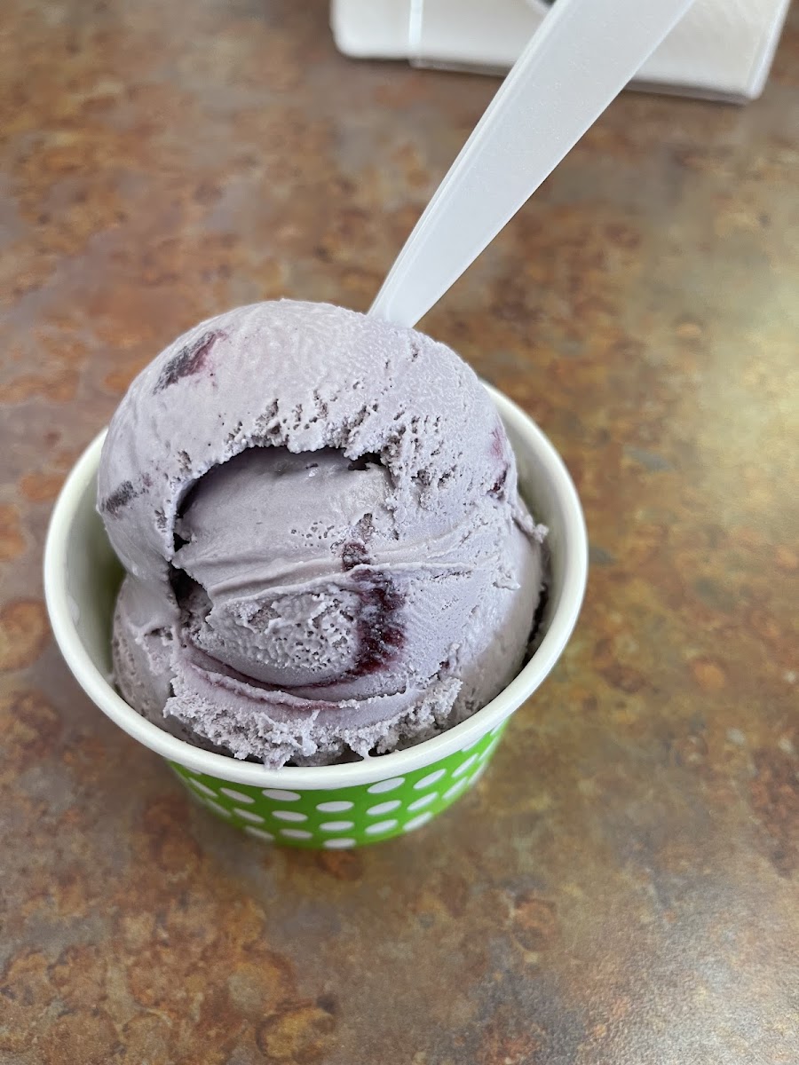 Cow-A-Bunga Ice Cream Photos 9
