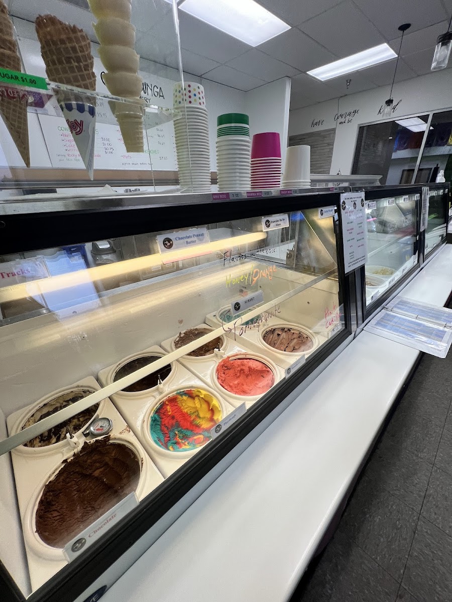 Cow-A-Bunga Ice Cream Photos 2