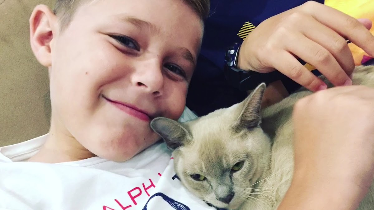 Crazy Cat Café Photos 9