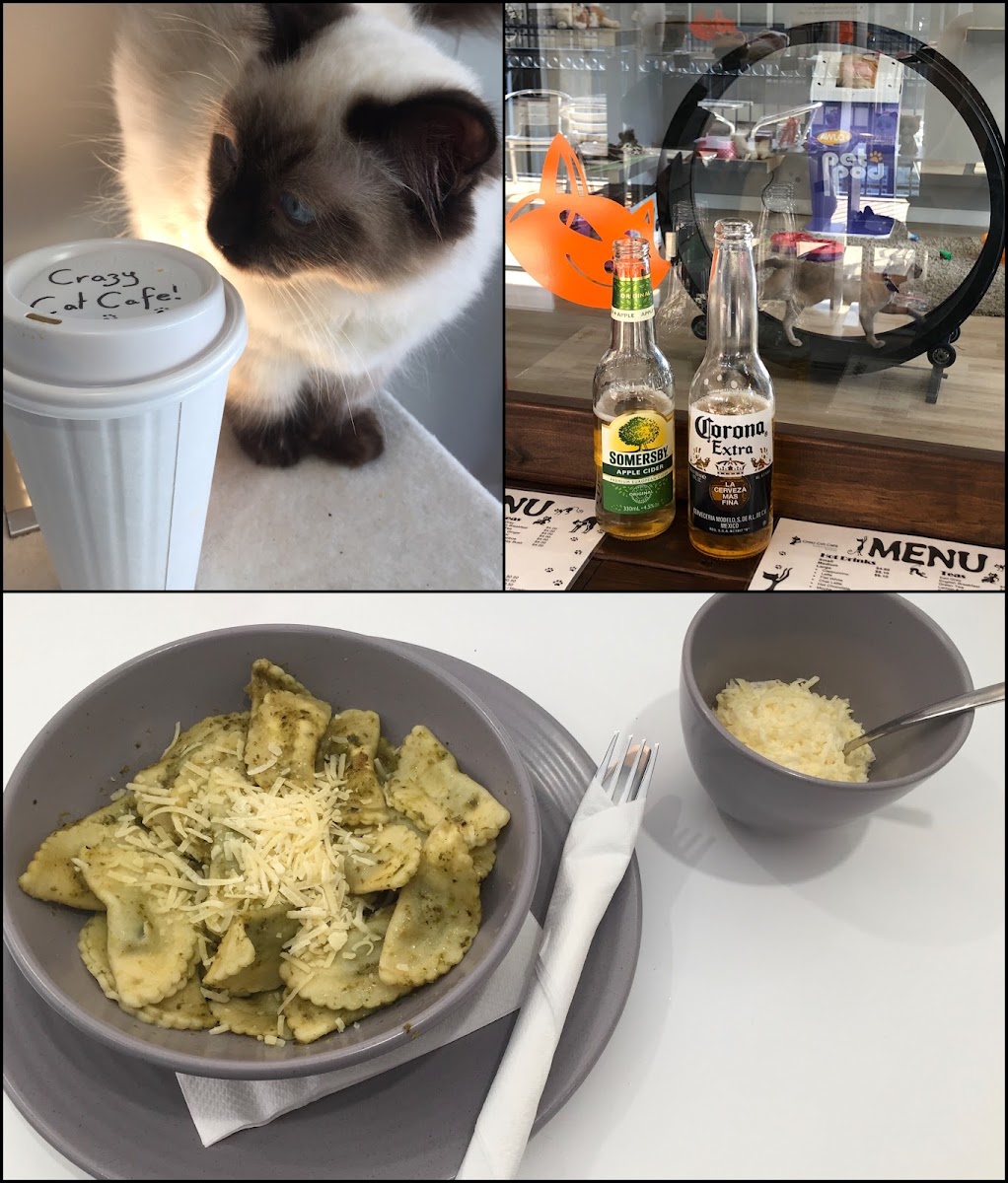 Crazy Cat Café Photos 2