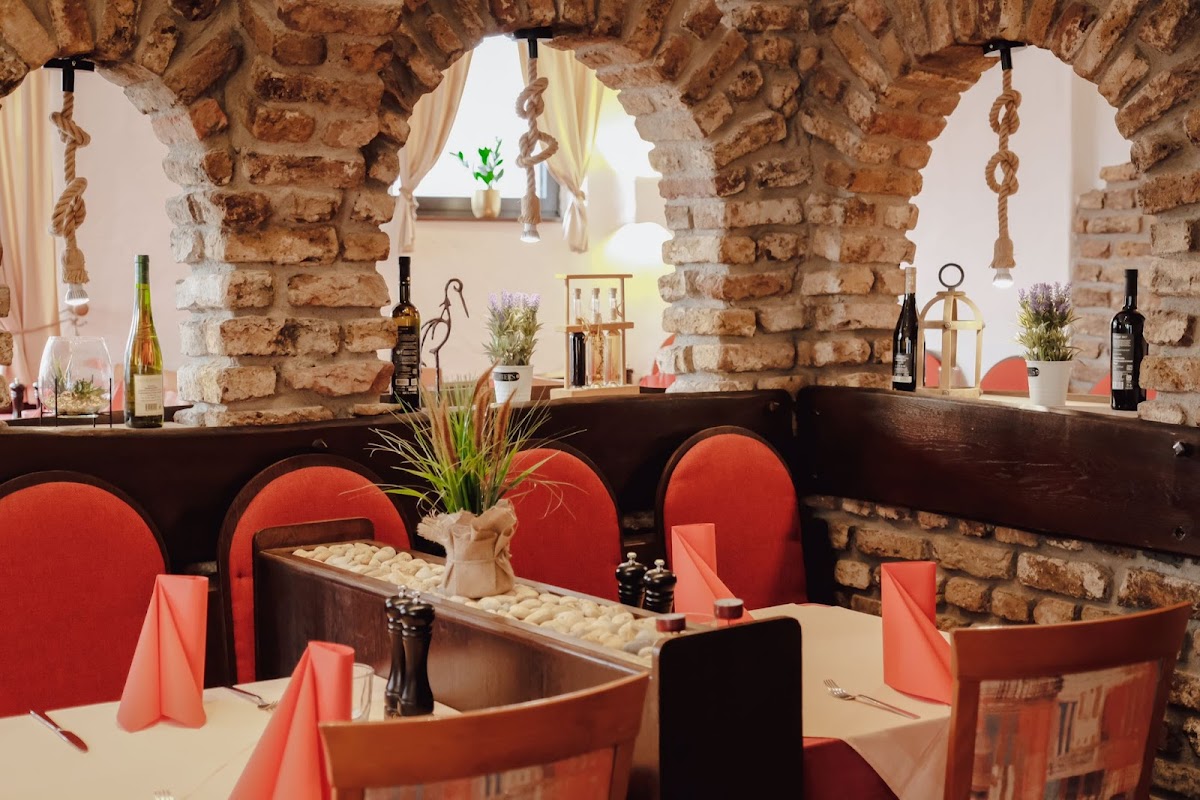 Dalmacija Mayen