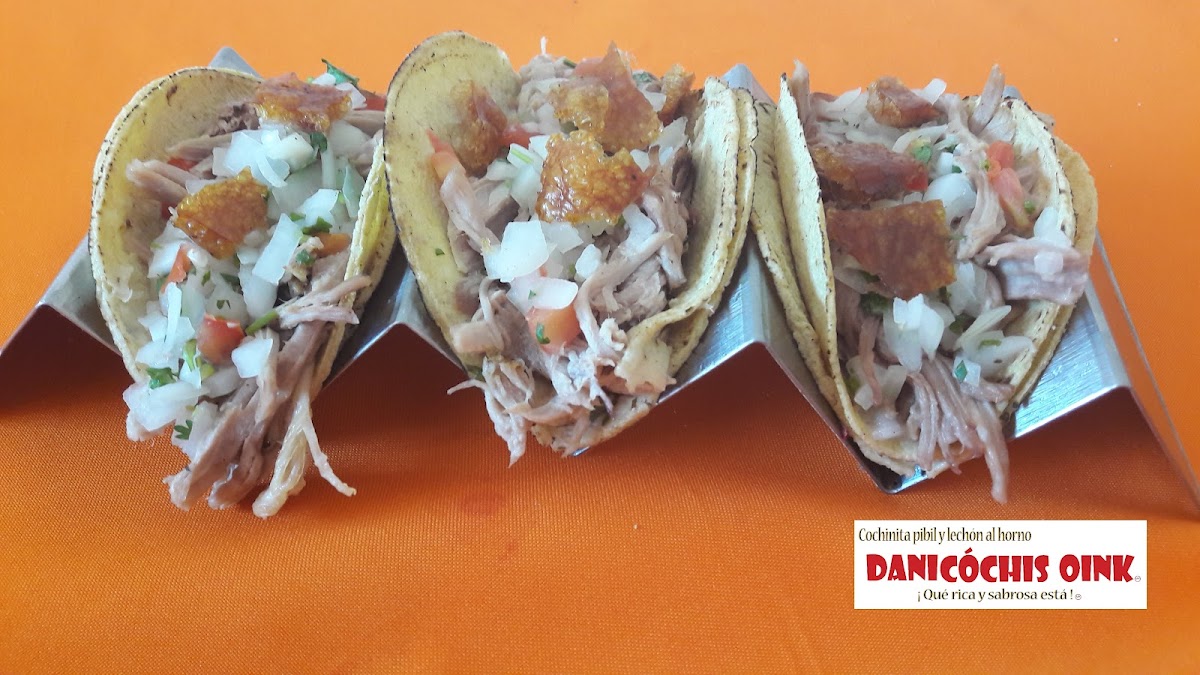 Dani Cochis Oink 'las Rieles'