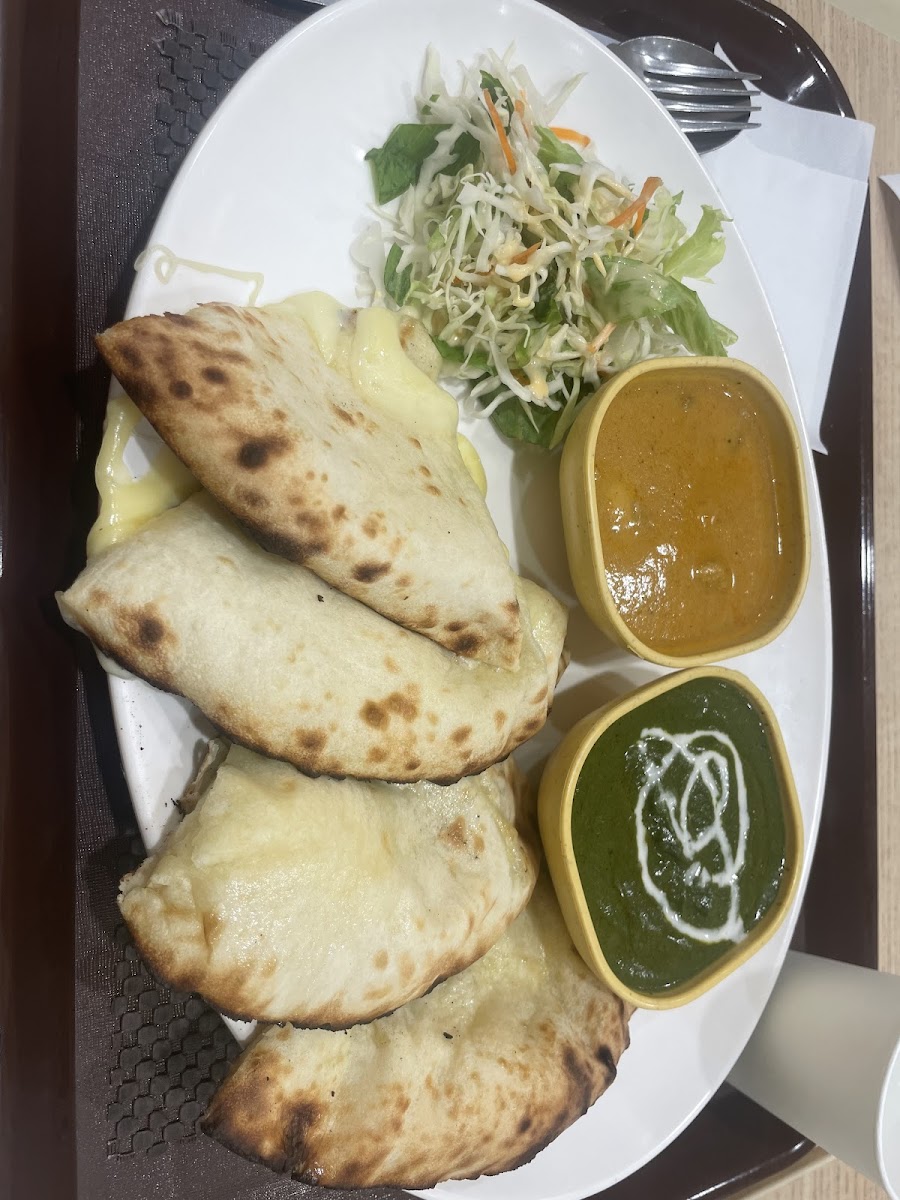Darbar Vinawalk Ebina Photos 9