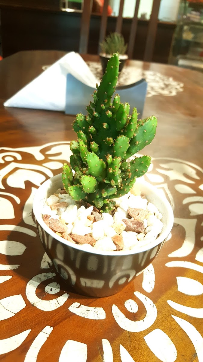Dark Essence - Coffee Shop Photos 9