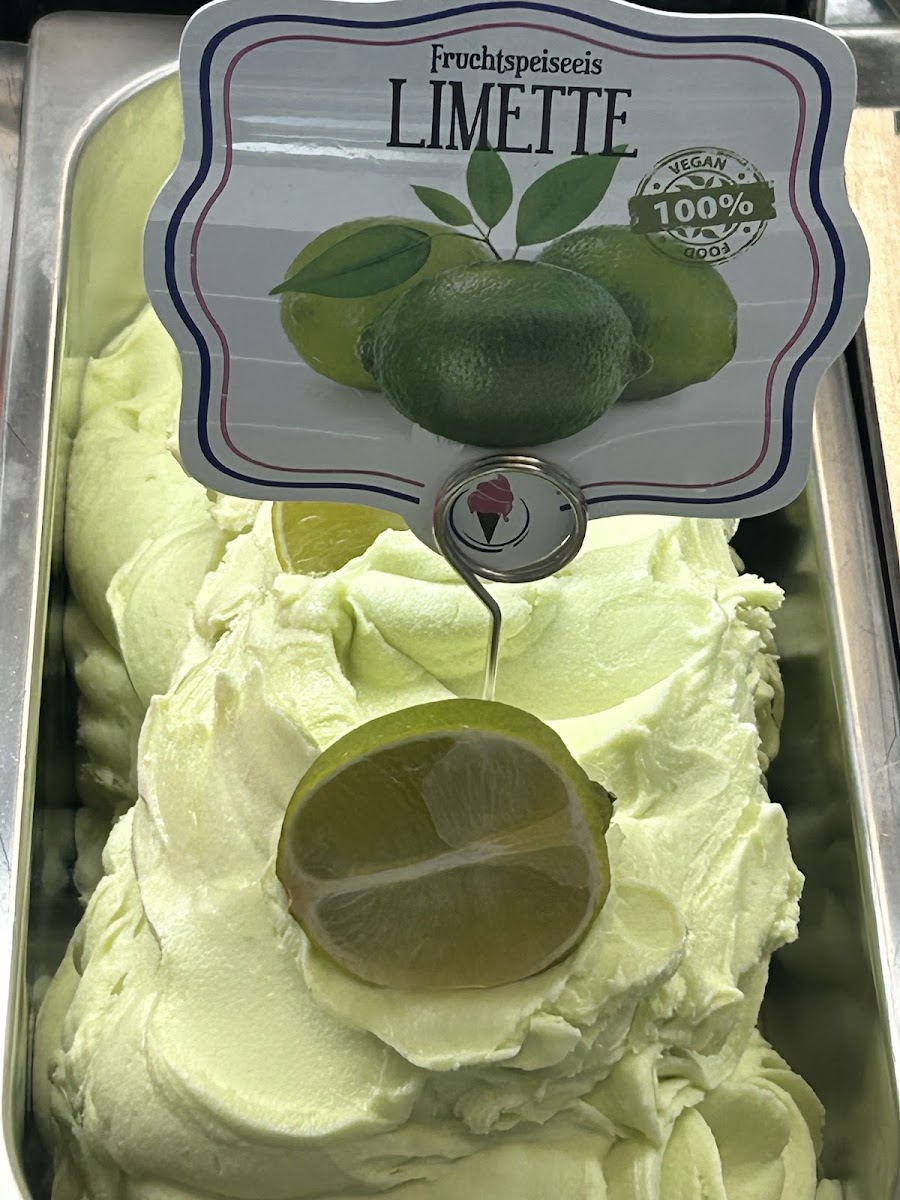 Davide Gelati Photos 2