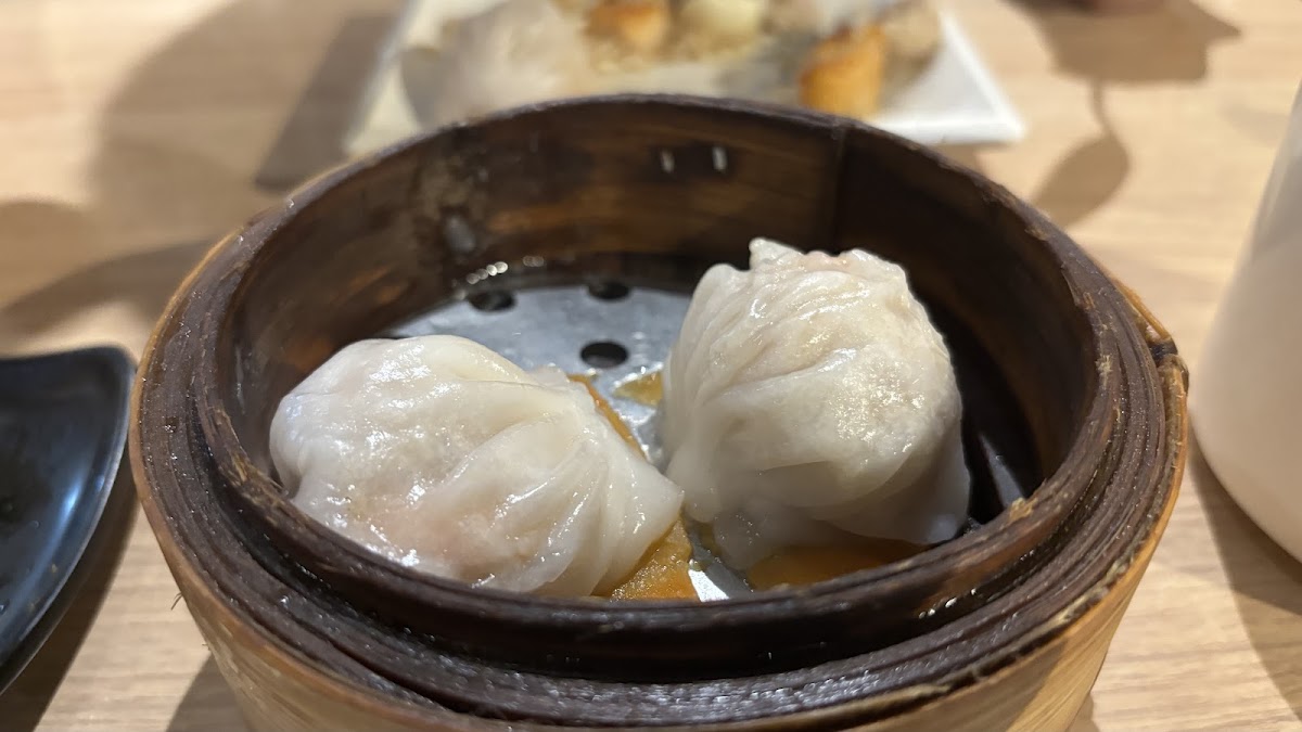 Dimsum Break Photos 2