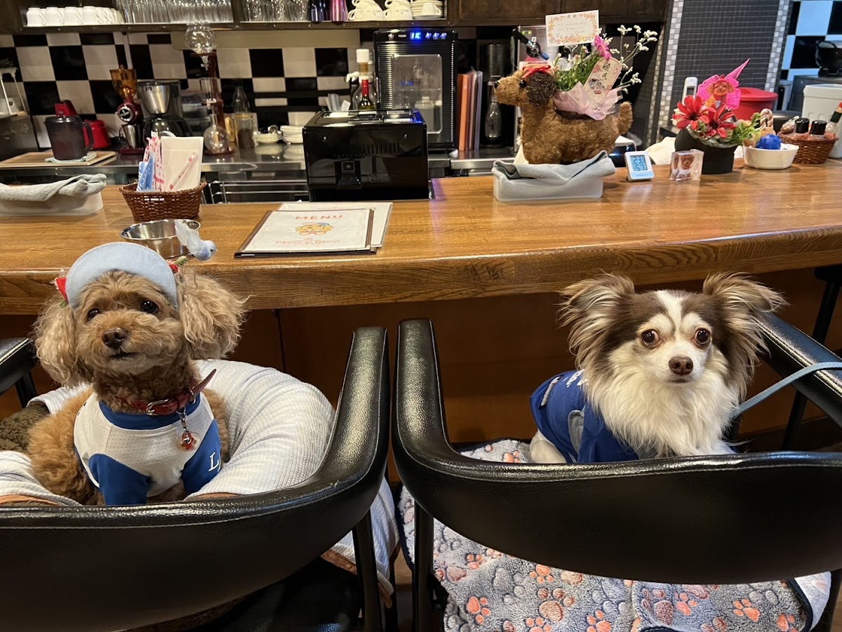 Dog Cafe & Bar Deco Et Deco デコデコ Photos 2