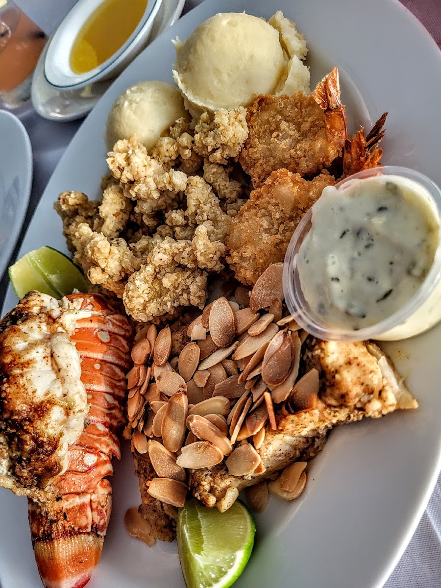 Dolphin Grill Photos 2