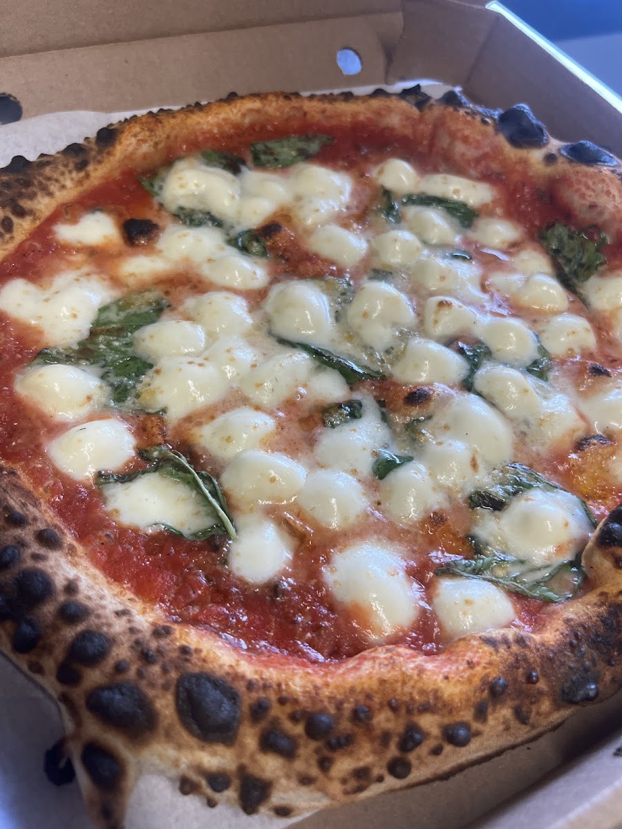 Dominic's Cucina