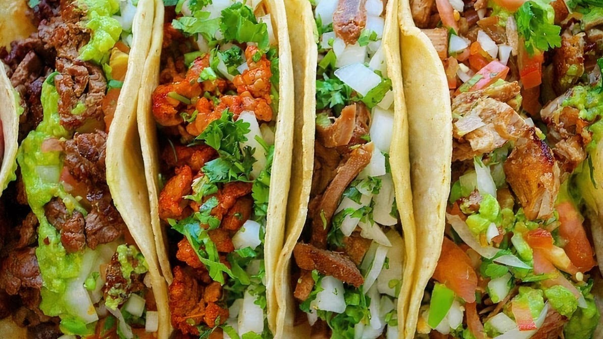 Don Tortaco Photos 2