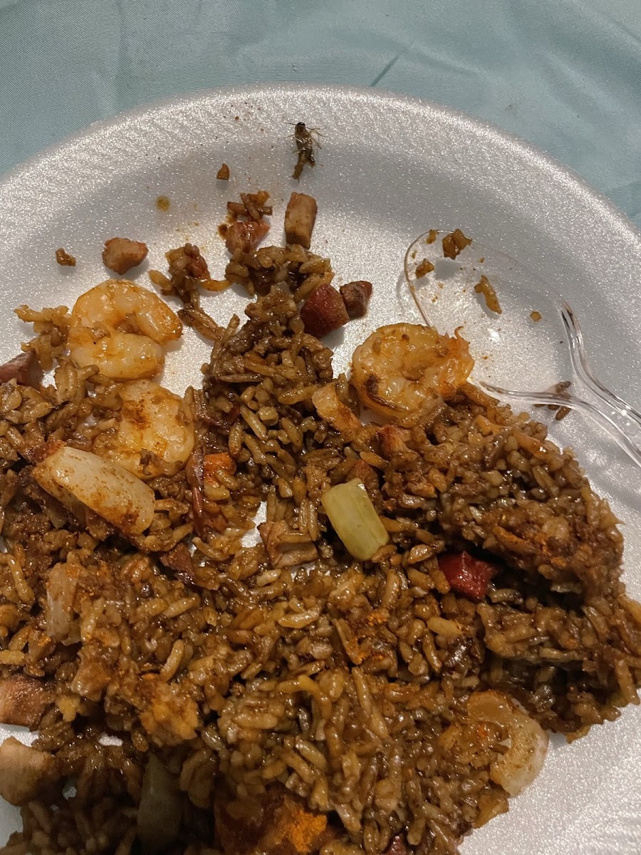 Dragon Chinese Restaurant Photos 9
