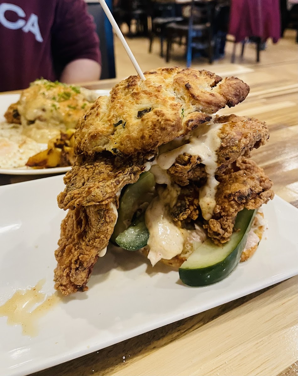 Drago's Kitchen Photos 2
