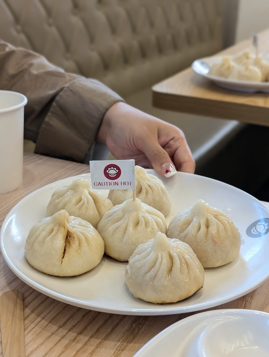 Dumpling Gyoza Photos 2
