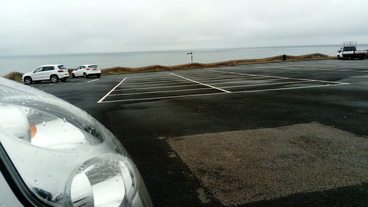 Eastshore Fisheries Photos 2