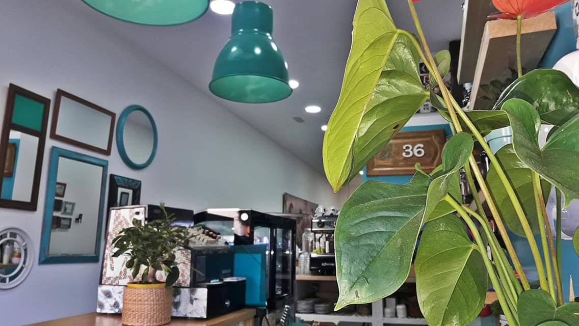 El 36 Cafe