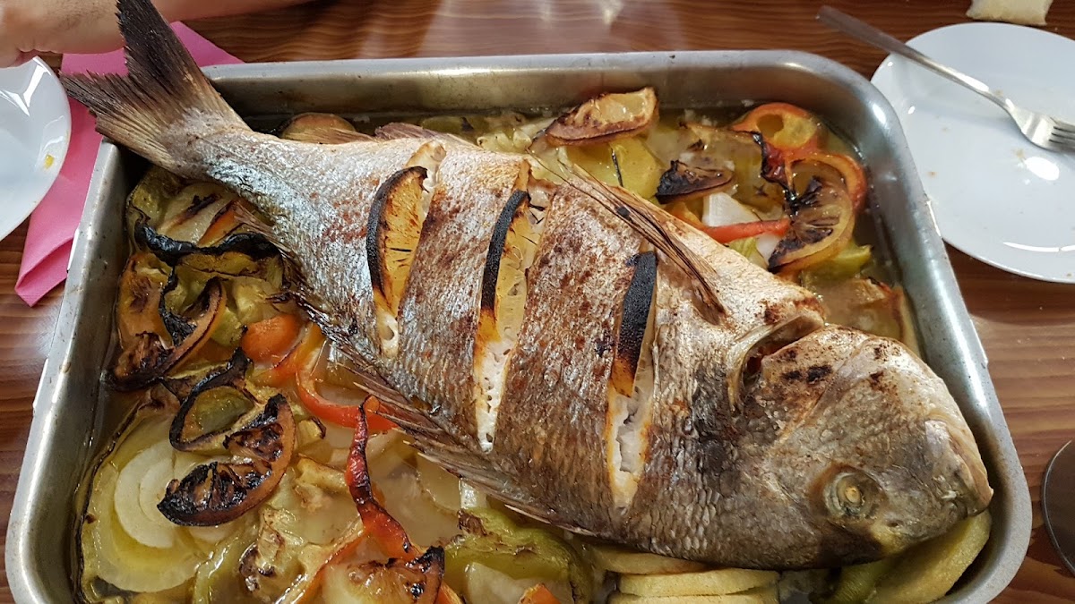 El Árbolito