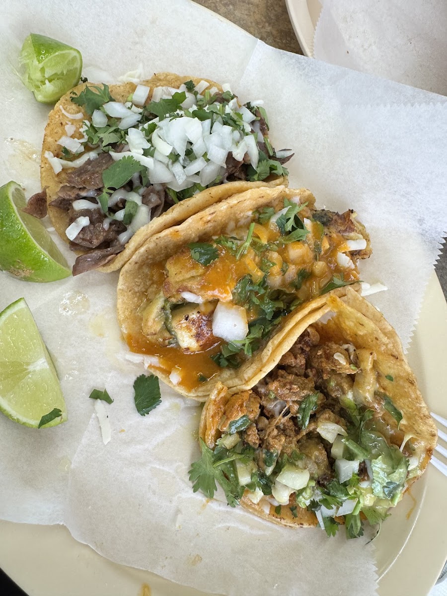 El Gordito Grill Photos 2