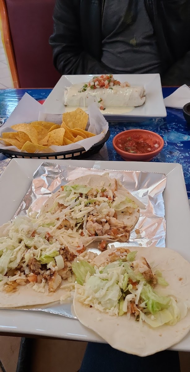 El Loro Mexican Restaurant Photos 9