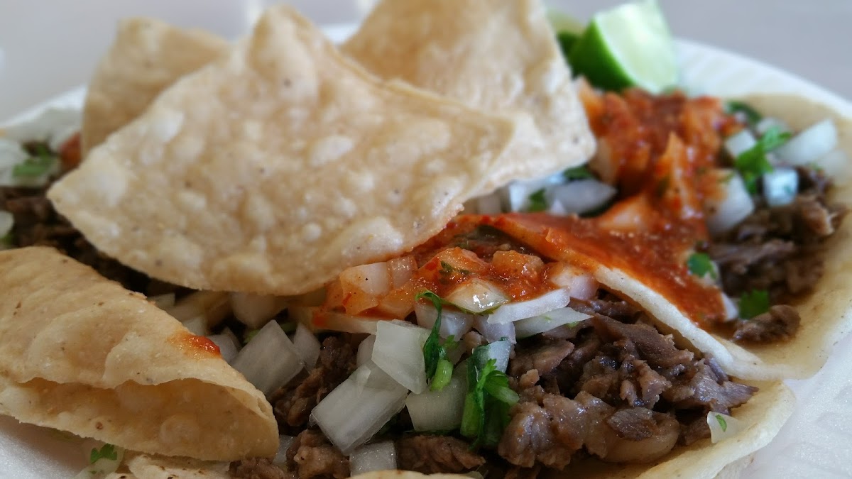 El Taco Llama Photos 2