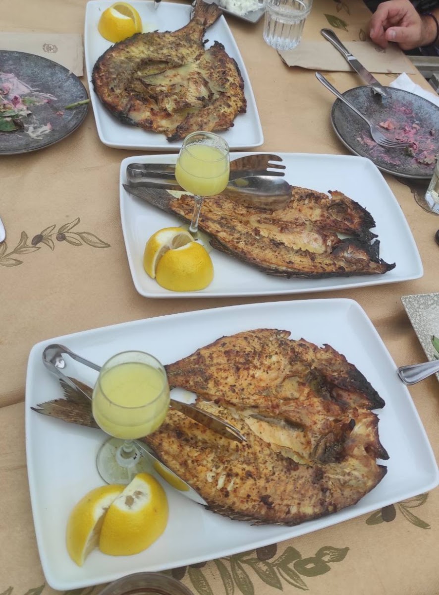 Elea Restaurant | Beach Bar Photos 9