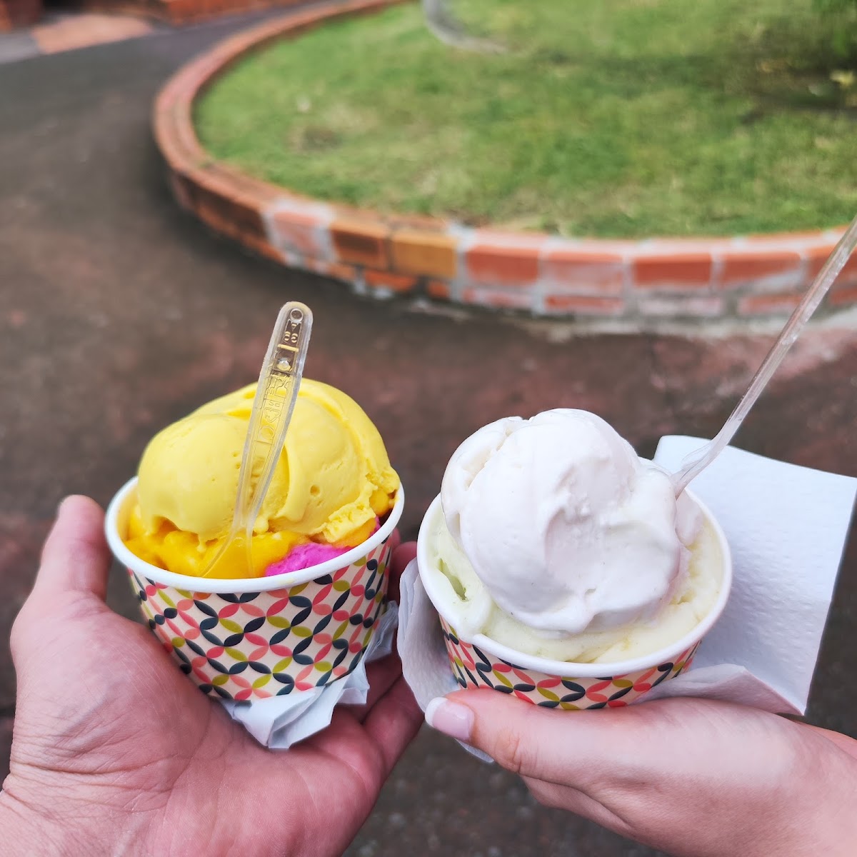 Enjoy Ice Cream Photos 9