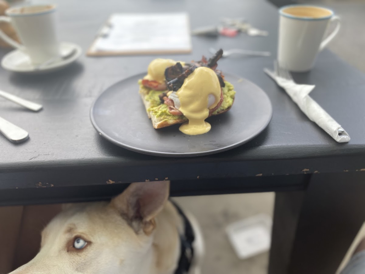 Espressions Cafe Photos 9