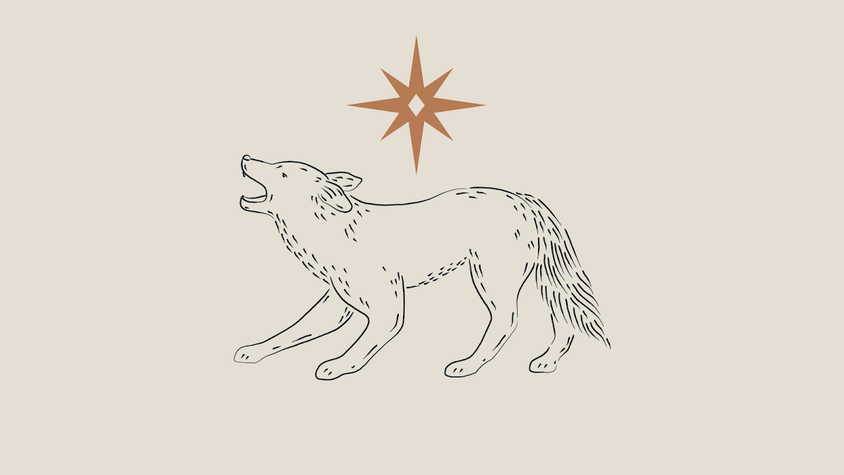 Expendio Coyote Photos 9