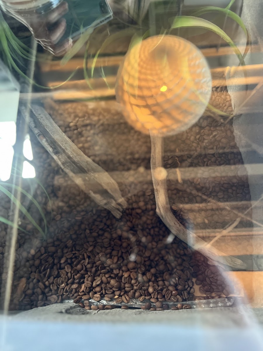 Factory & Labo Kanno Coffee Photos 9