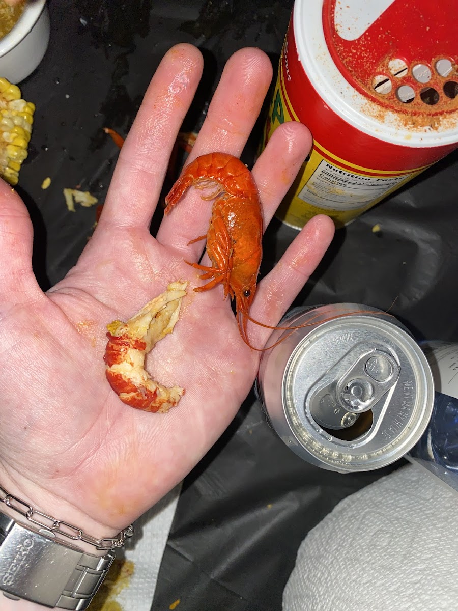 Farmer Meat Market Photos 9