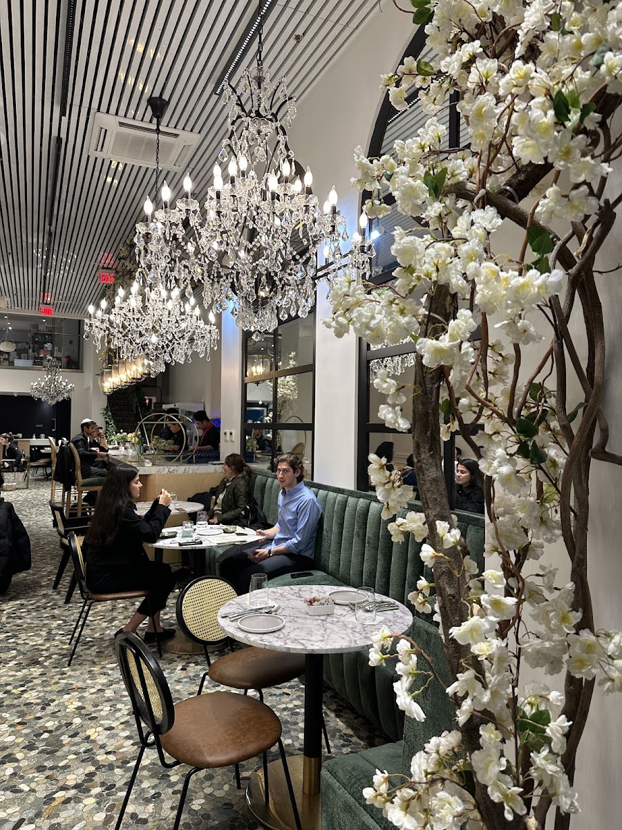 Finbar Sushi Nyc