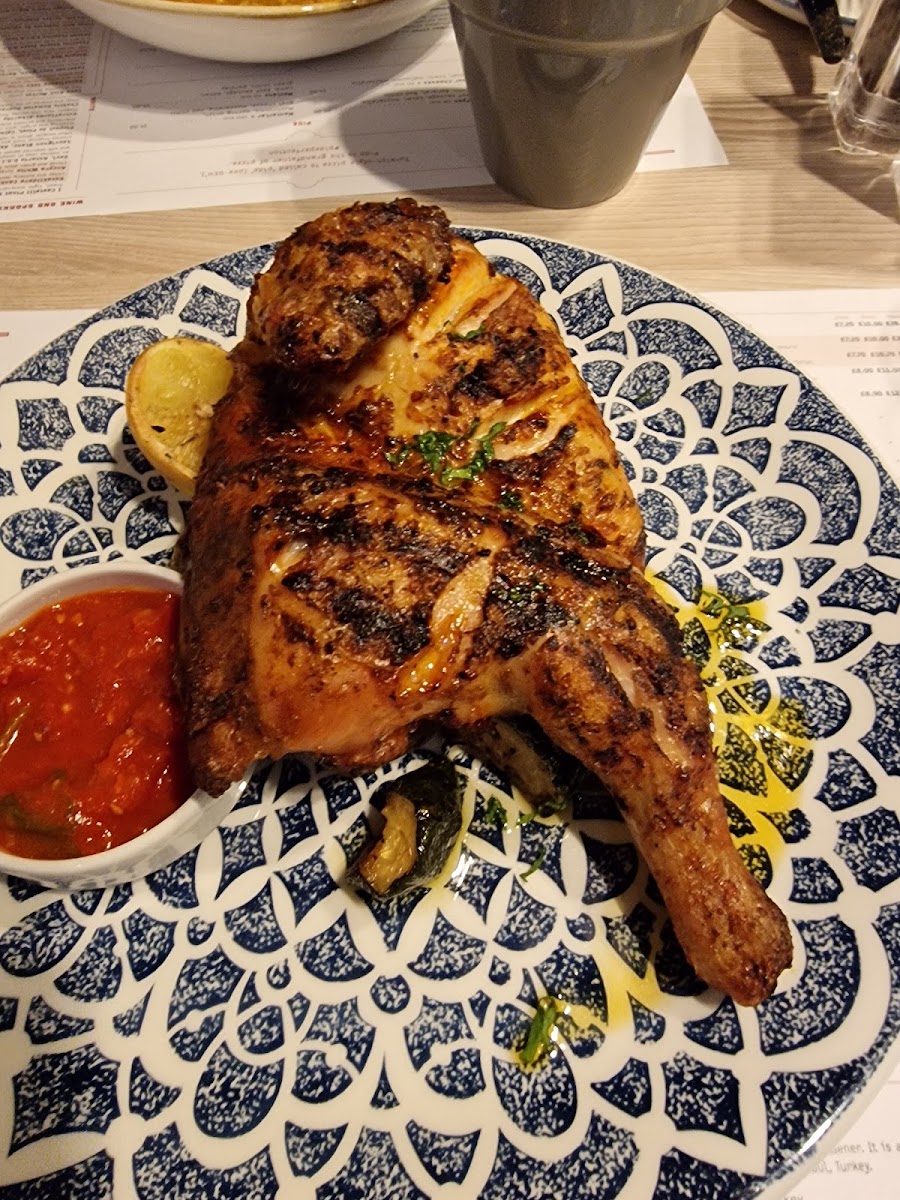 Firin Modern Turkish Cuisine Photos 9