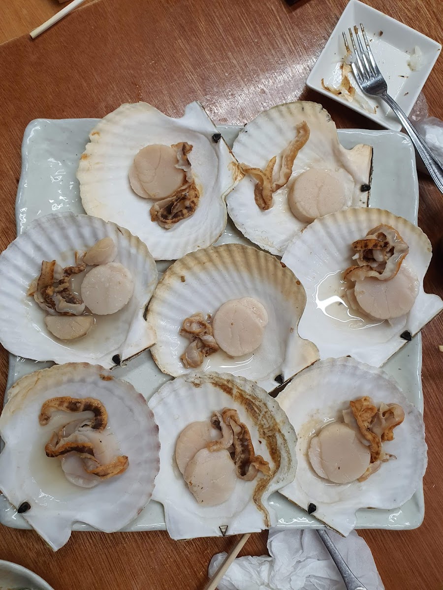Fresh Fish Diner Kawashima Photos 9