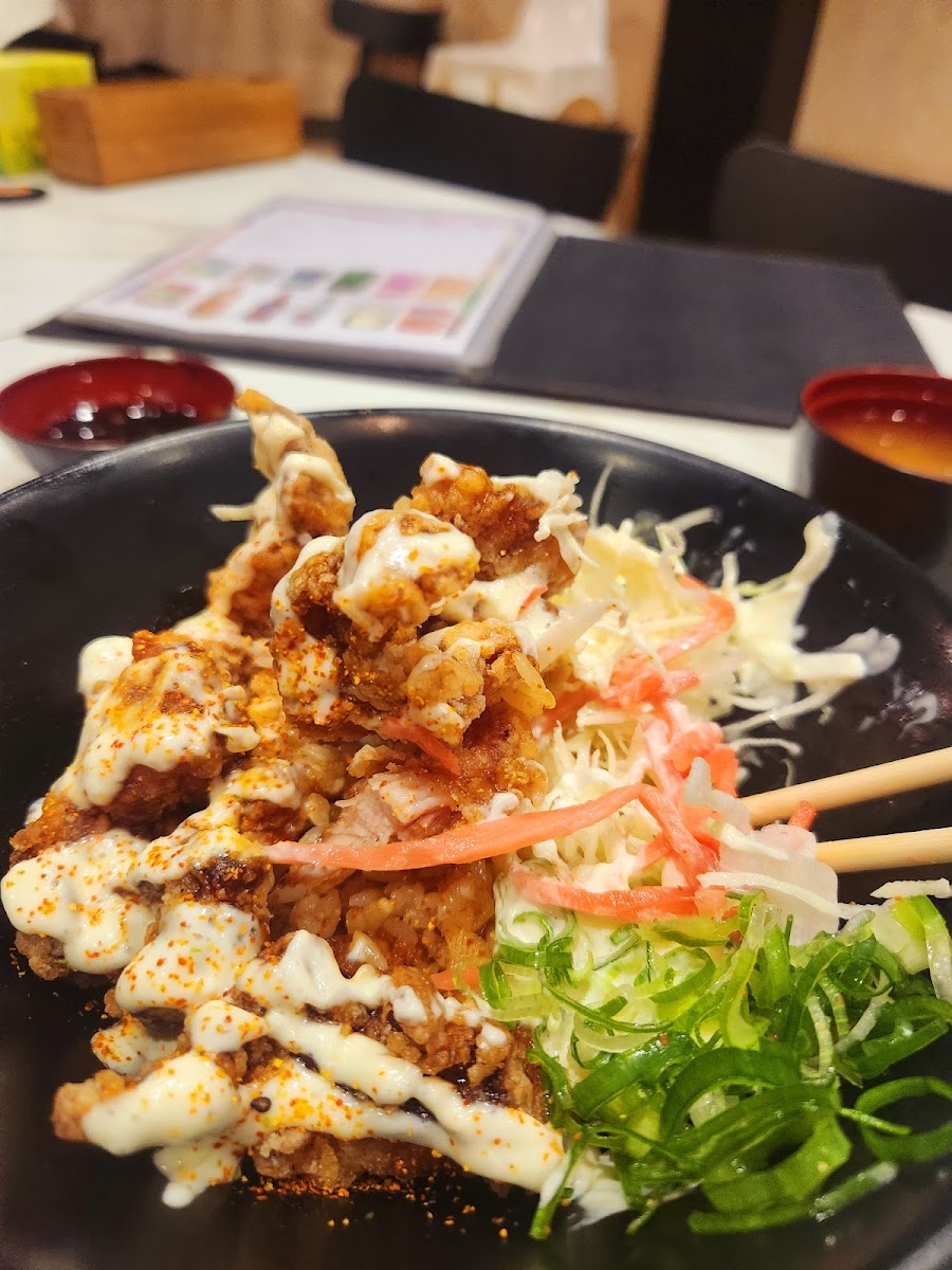 Fujiyama Japanese Cuisine Photos 9