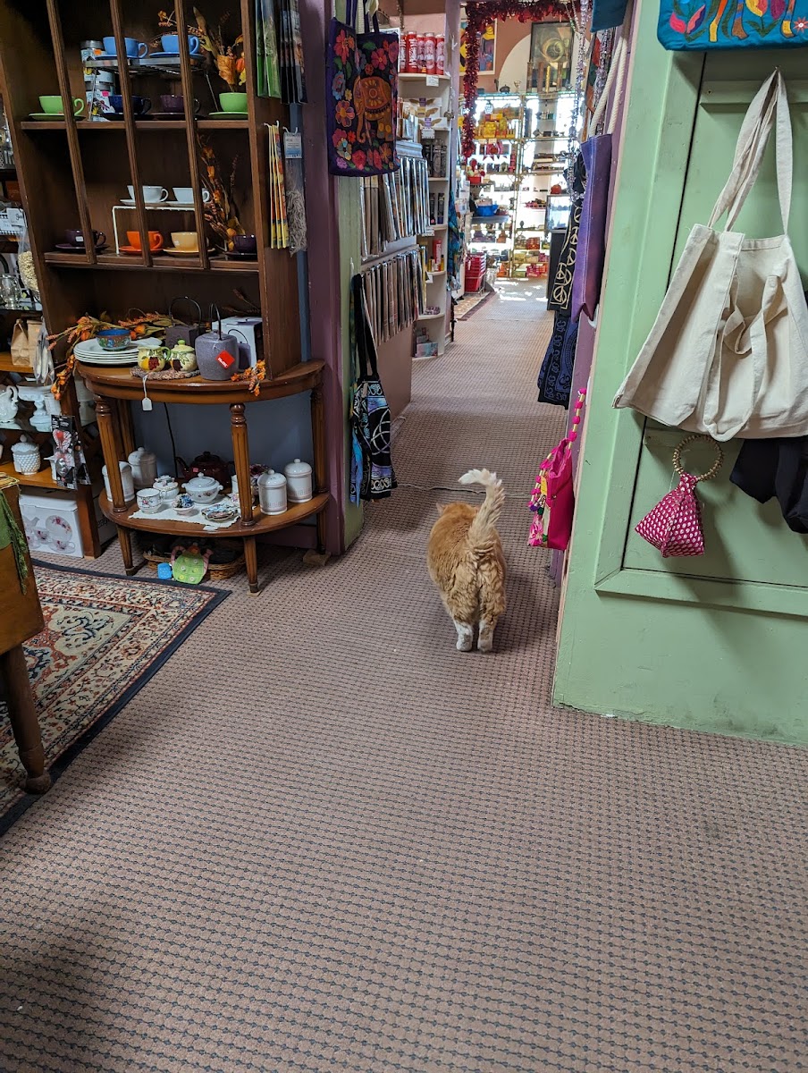 Funky Karma Incense & Tea Shop Photos 2