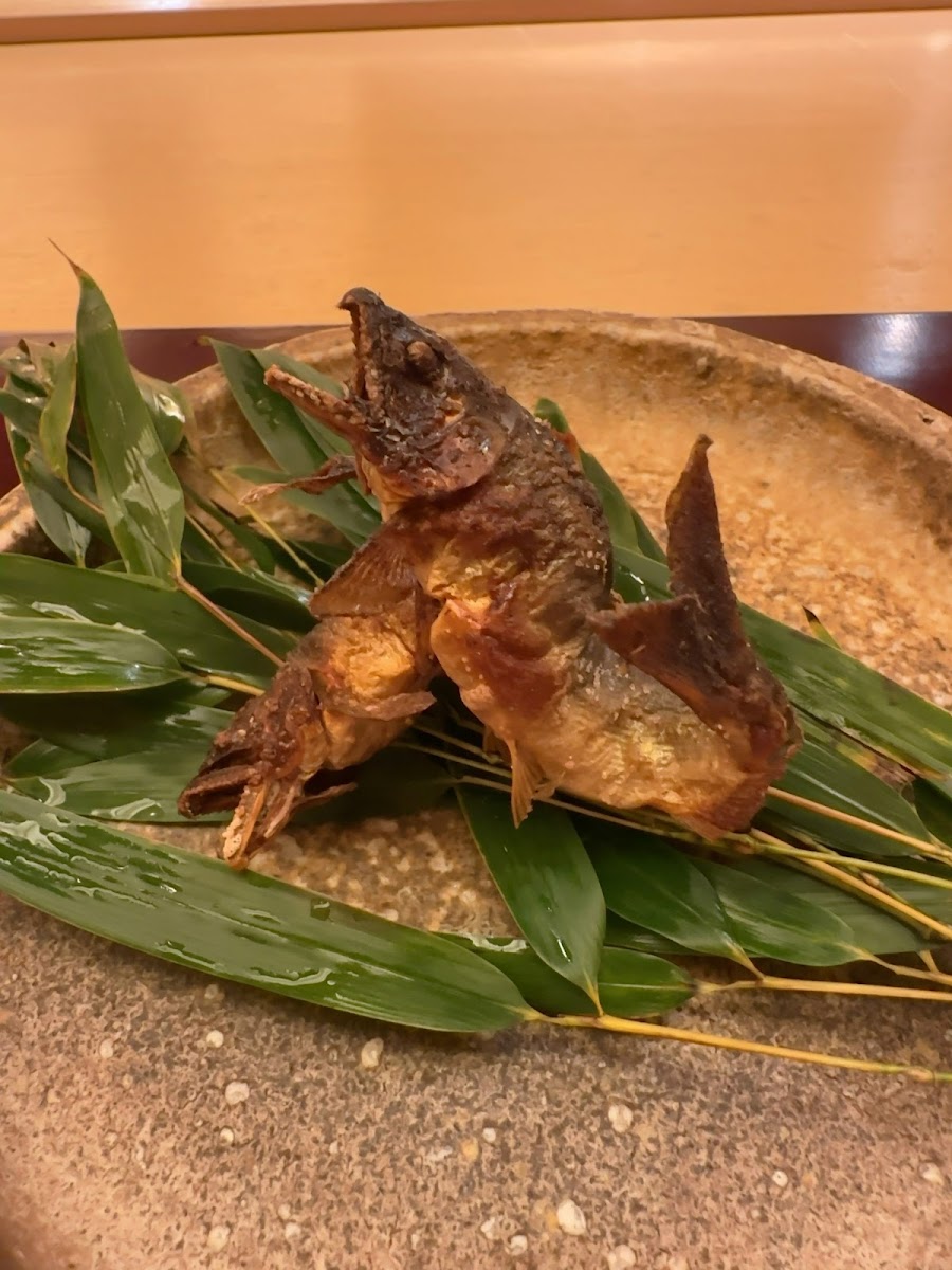 Ginza Okuda Photos 9