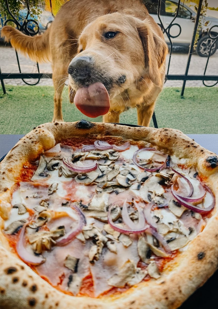 Głodna Małpa Pizza & Chill Photos 2