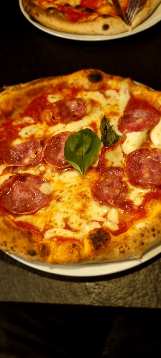 Gotti Pizza Photos 9