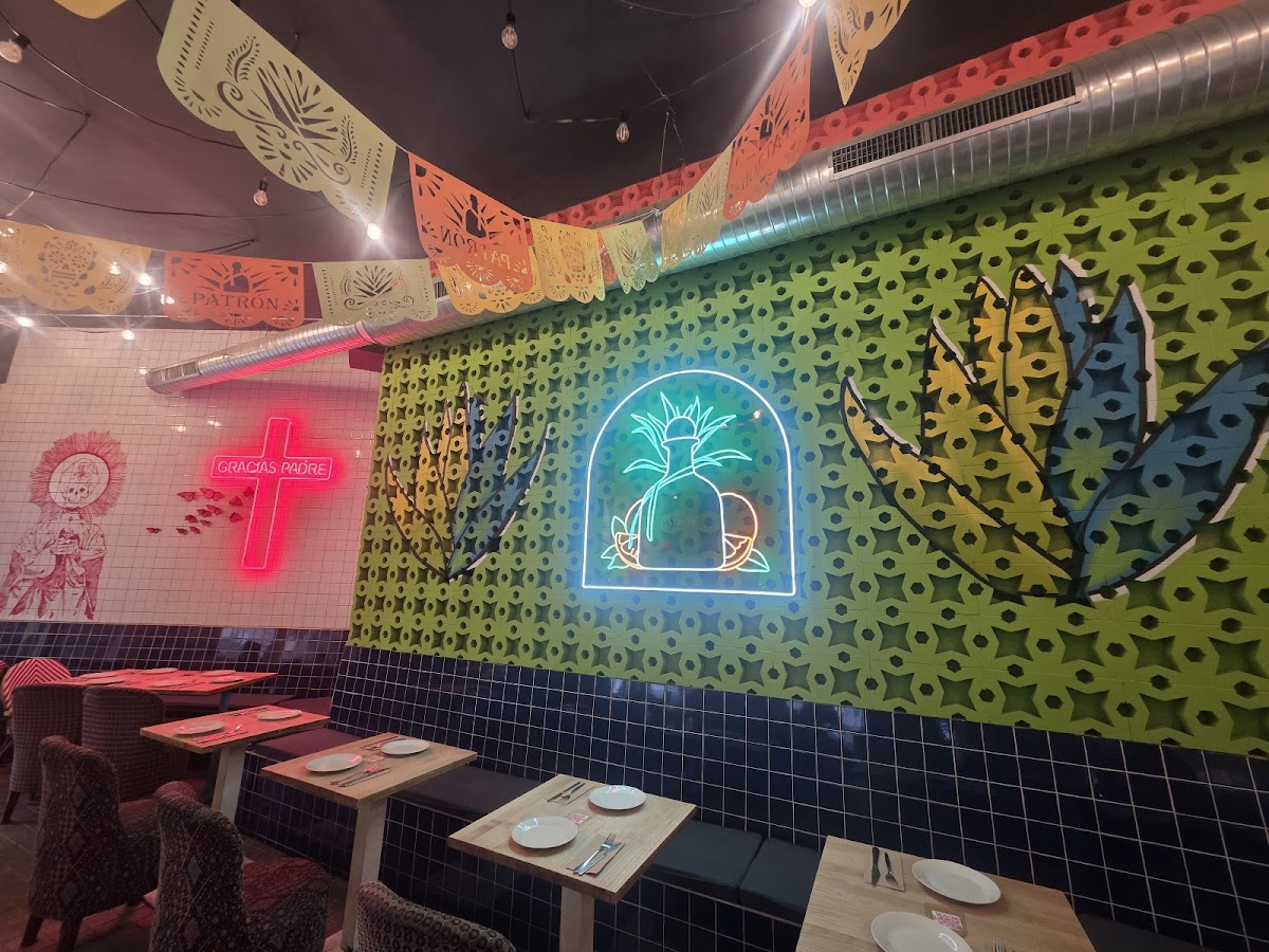 Gracias Padre - Zona Rosa - Restaurante Mexicano Photos 2