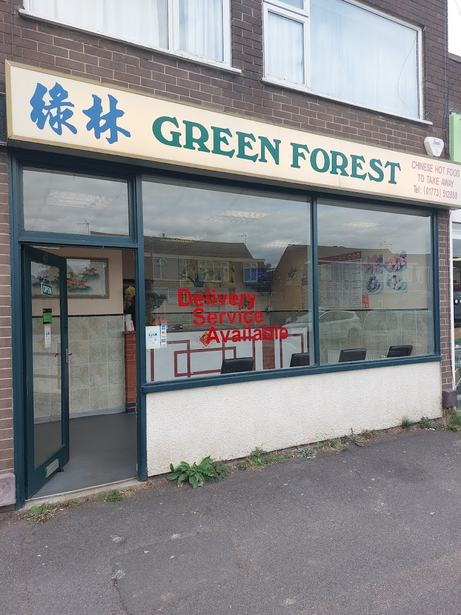 Green Forest Photos 2