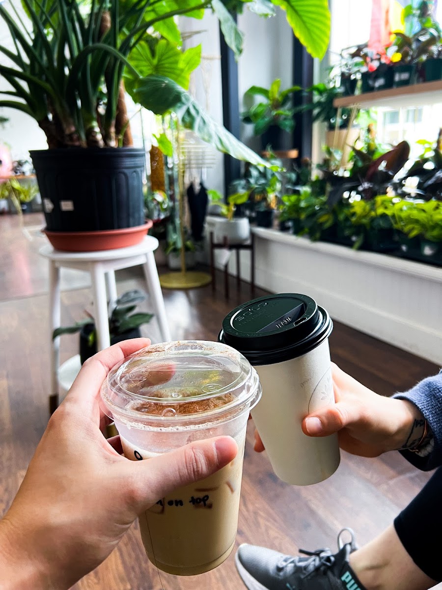 Greenhouse Coffee + Plants Photos 2
